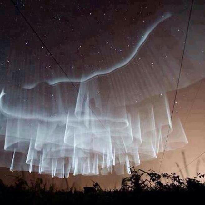 1915502_1661809737426375_6584964459931758463_n